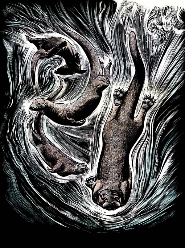 Illustration project by 