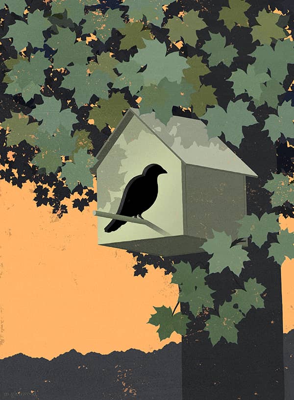 Illustration project by 