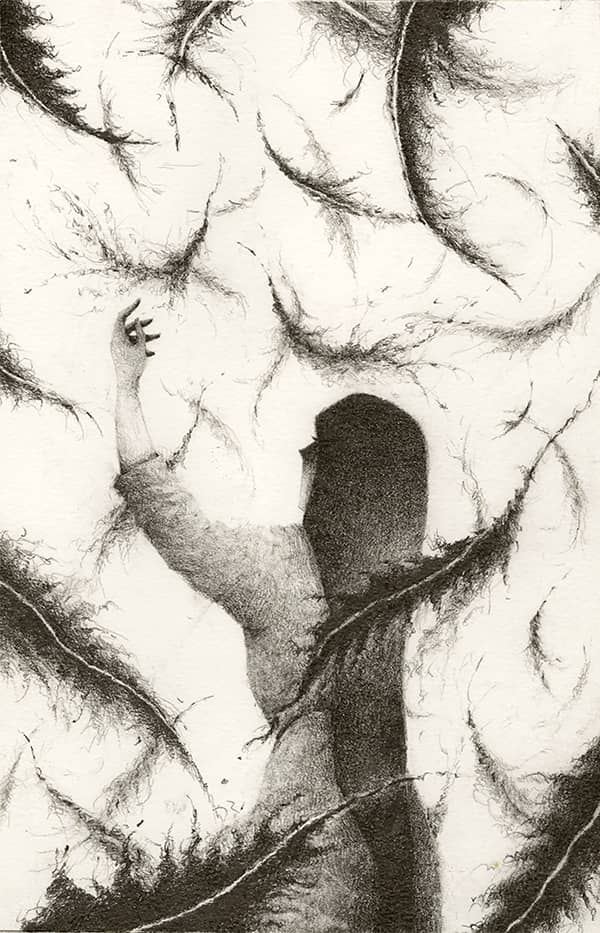 Illustration project by 