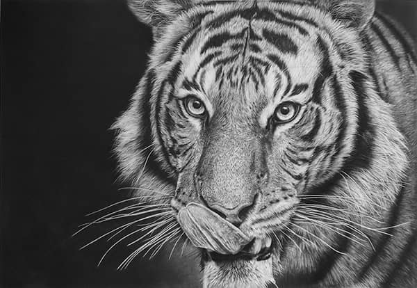 Fine Art project by 