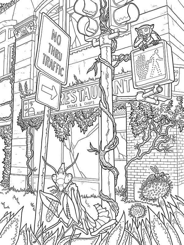 Illustration project by 