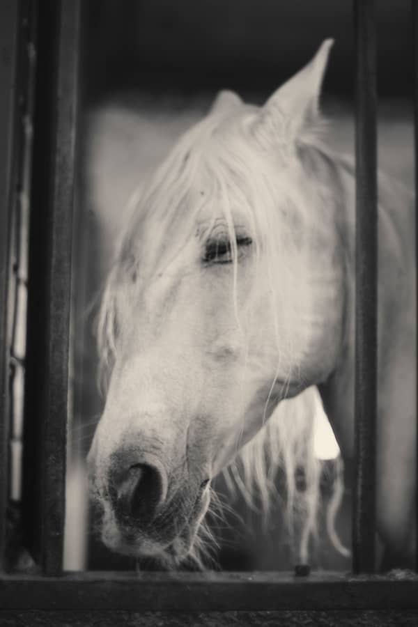 Photography project by 