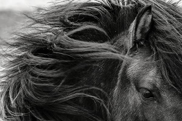 Photography project by 