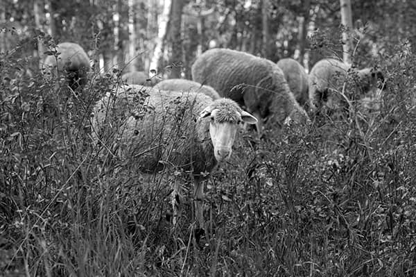 Photography project by 