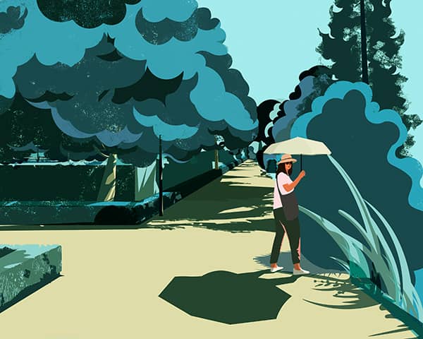 Illustration project by 