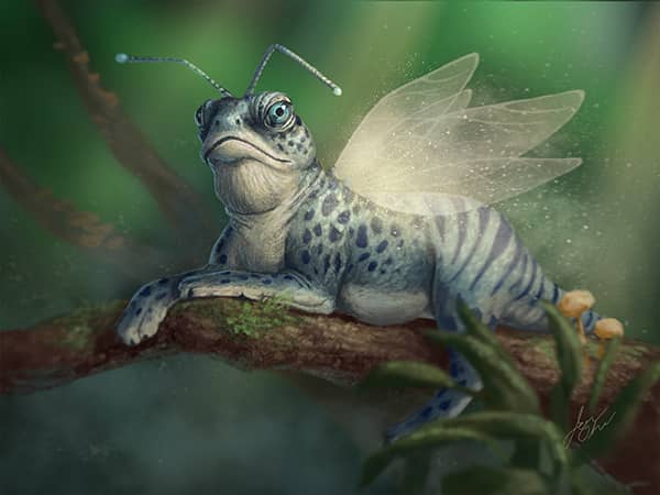 Illustration project by