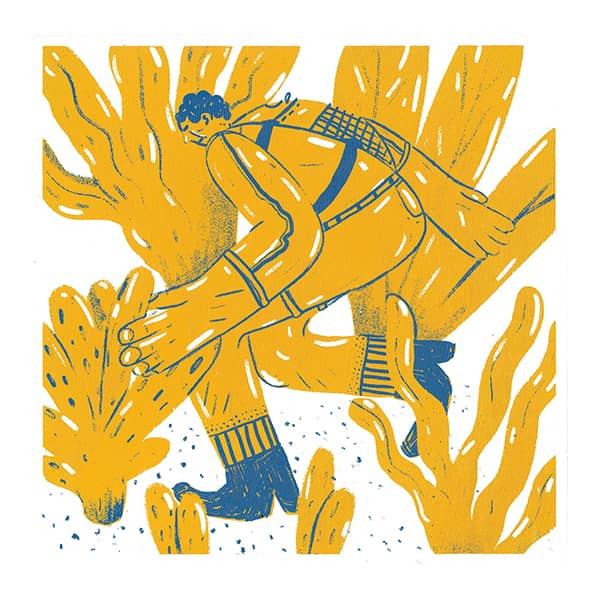 Illustration project by 