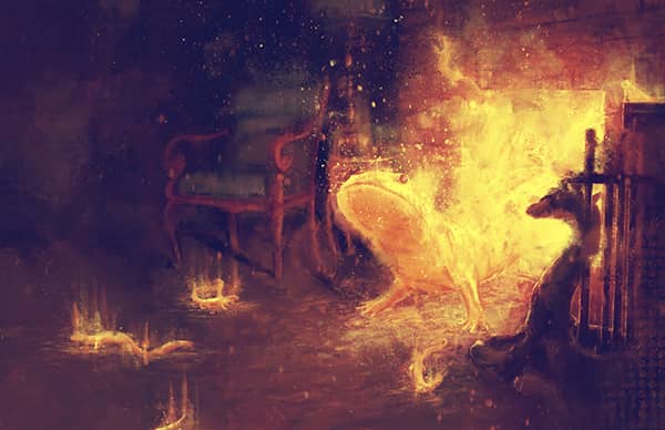 Illustration project by 