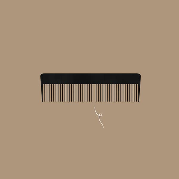 Illustration project by 