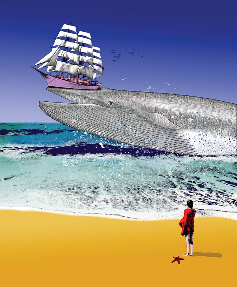 Illustration project by Pierre-Paul Pariseau