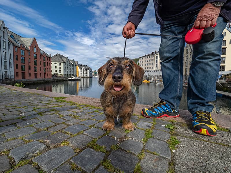 Photography project by Jay Dickman