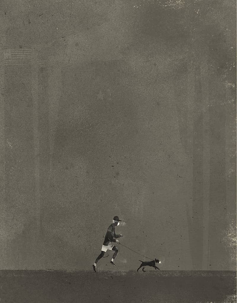 Illustration project by Matthew Kam