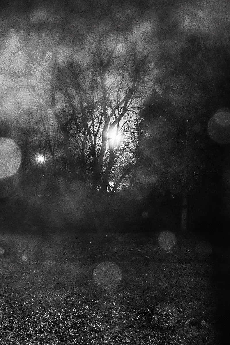 Photography project by Shelby Trego