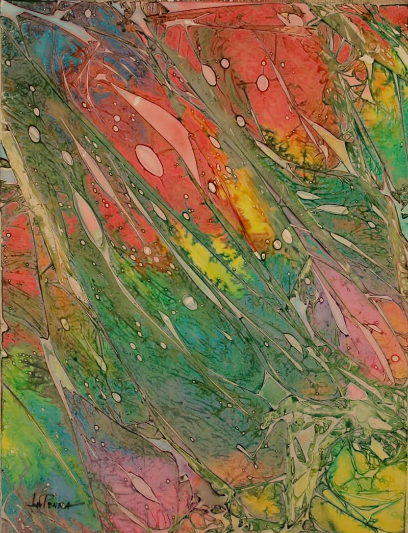 Fine Art project by Elizabeth LaPenna