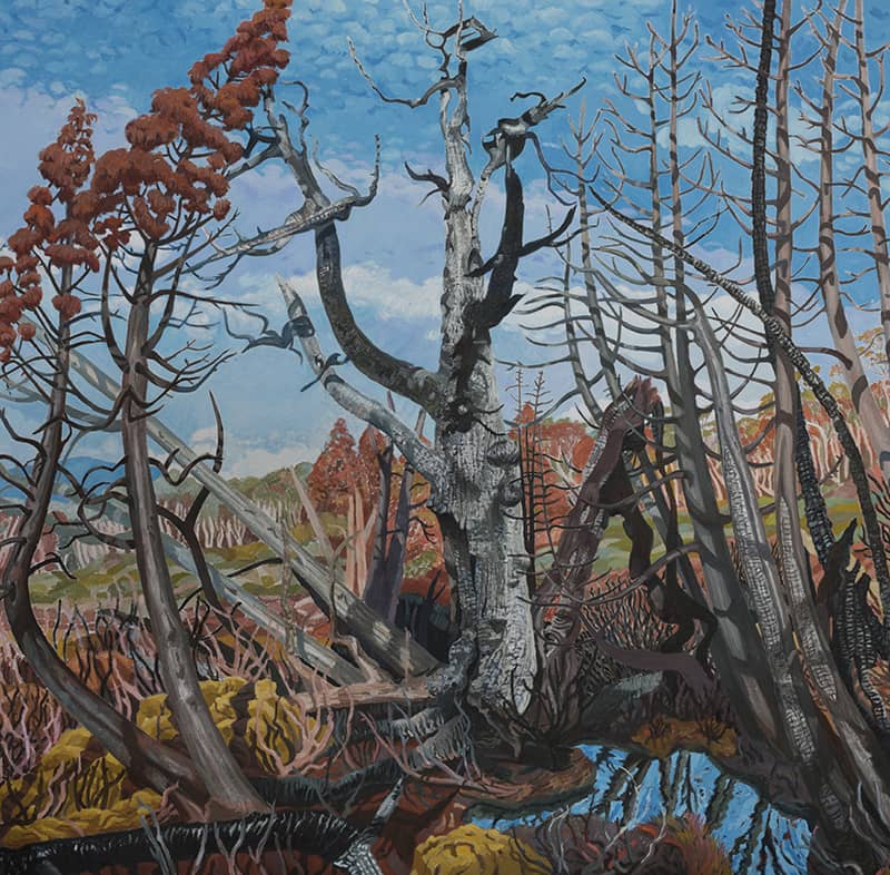 Fine Art project by Joan Marie Kelly