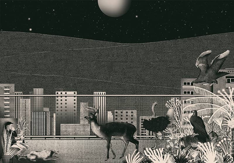 Illustration project by Piotr Depta-Kleśta