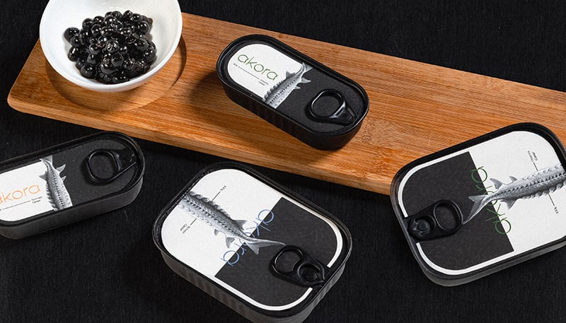 Graphic Design project by Whitney Hodge