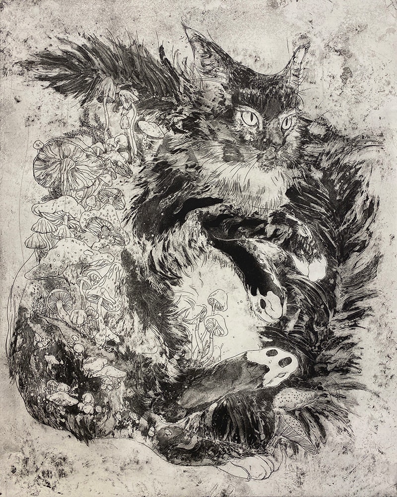 Fine Art project by Yang Peng