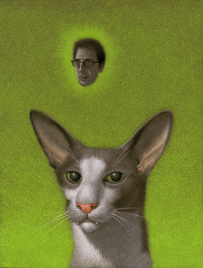 Illustration project by John Nickle