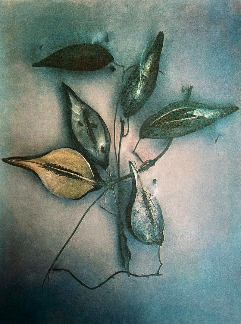 Photography project by Diana Bloomfield