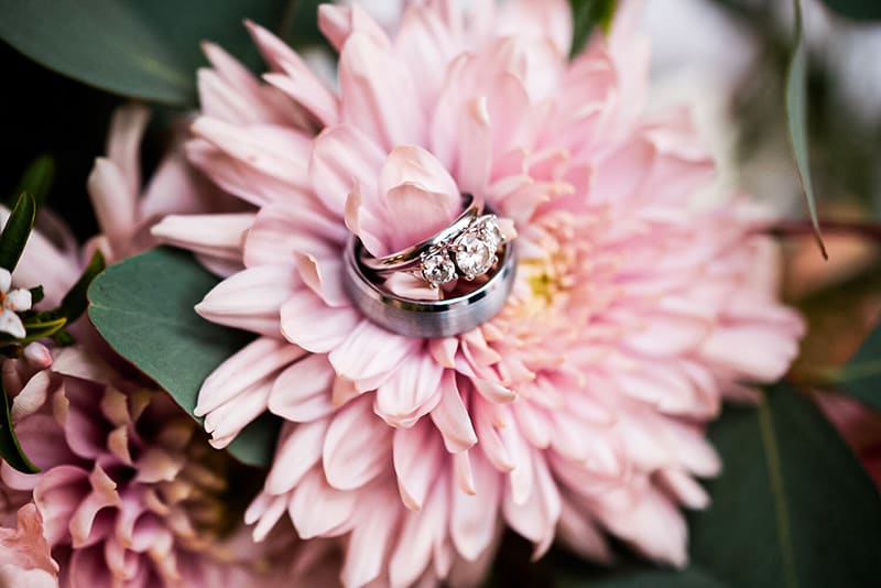 Photography project by Ellen Brown