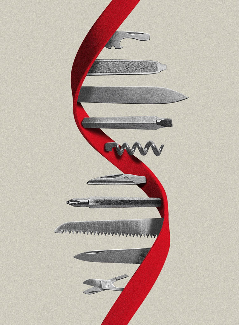 Graphic Design project by Jennie Soccio