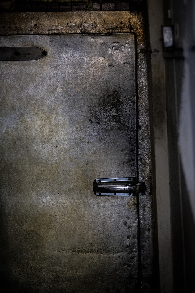 Fine Art project by Ray Koh 