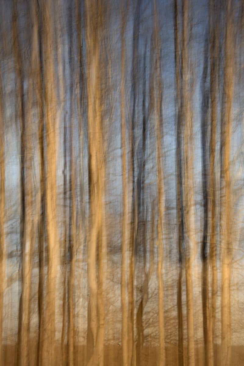 Photography project by Karin Whittemore