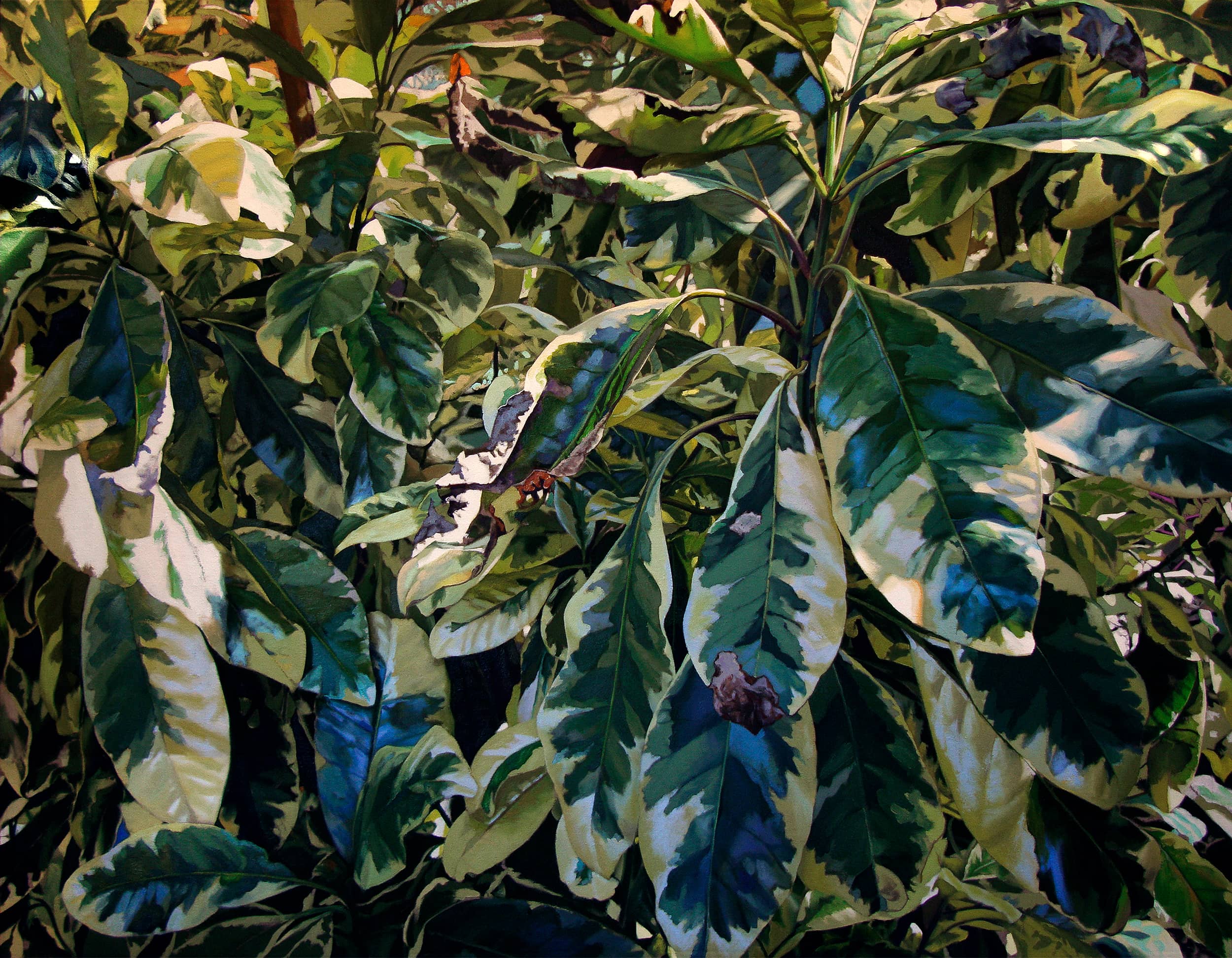 Fine Art project by Gary Paul Stutler