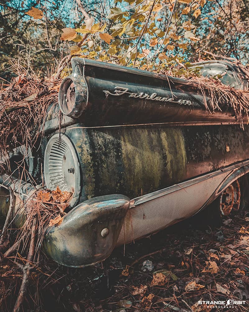 Photography project by David Freund