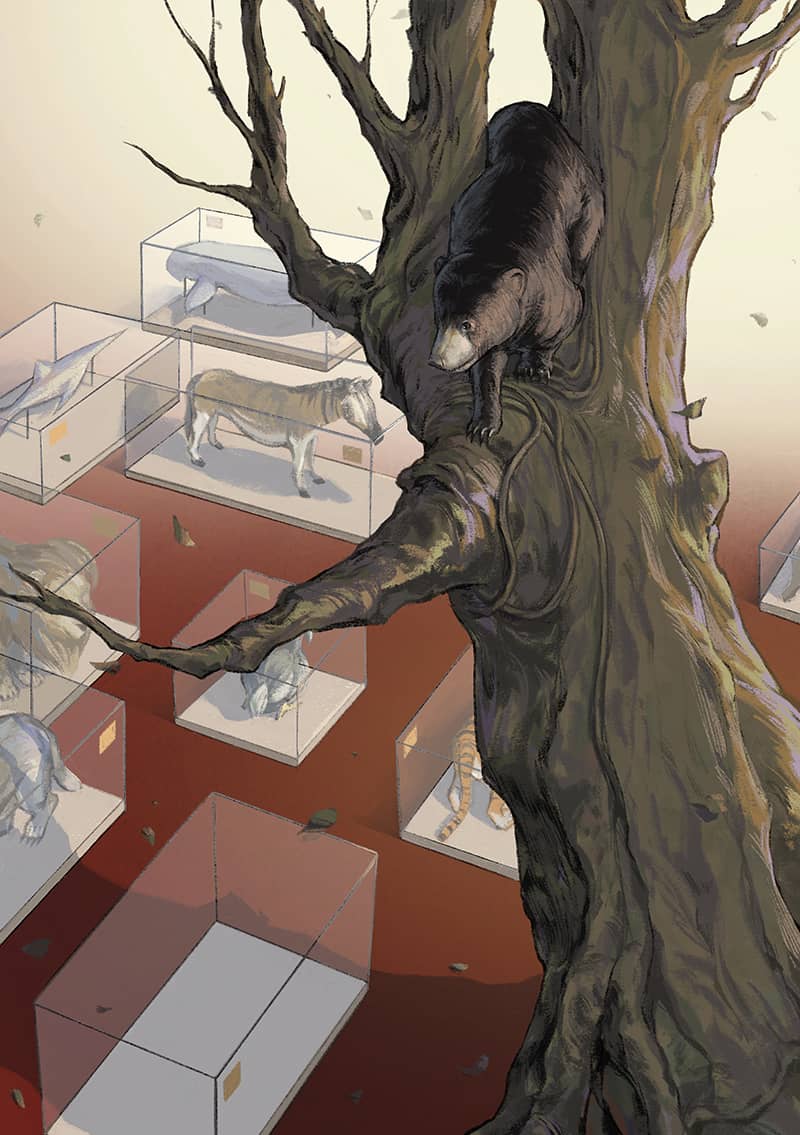 Illustration project by Xinyi Cao