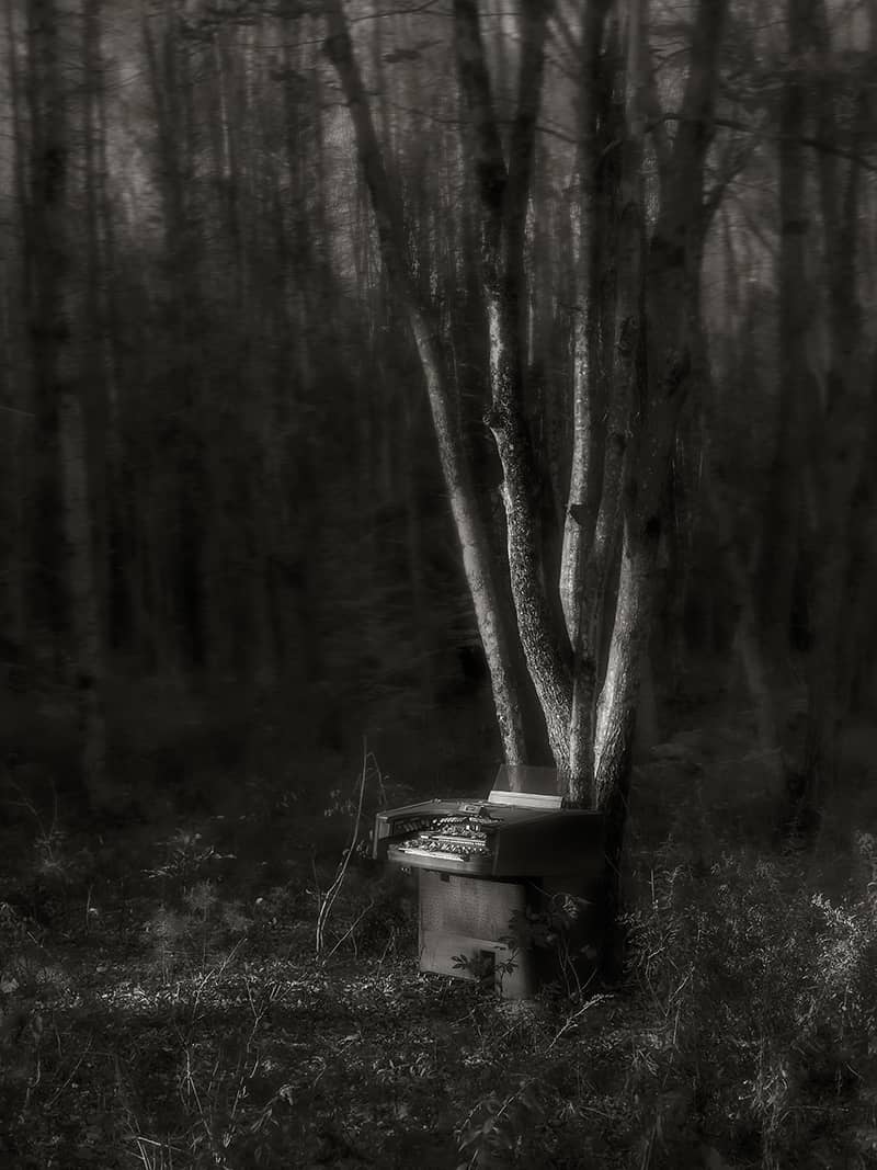 Photography project by Jerry Lofaro