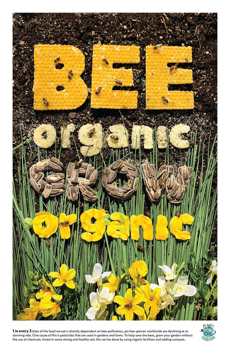 Graphic Design project by Kerrigan Jackson