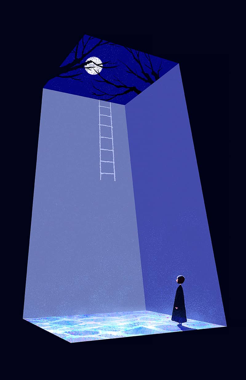 Illustration project by Kaining Wang