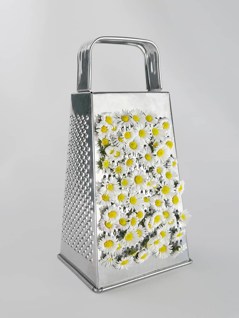 Photography project by Marta Wapiennik