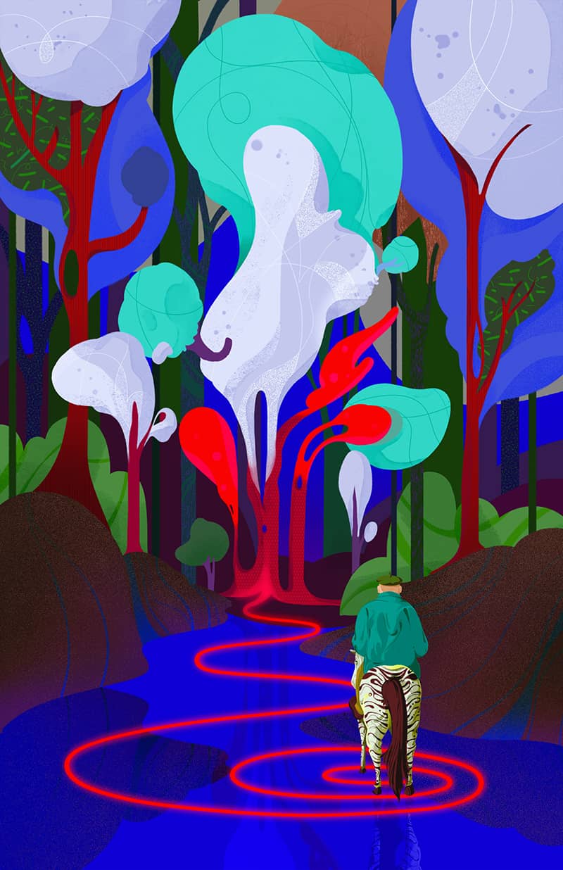 Illustration project by Haley Jiang