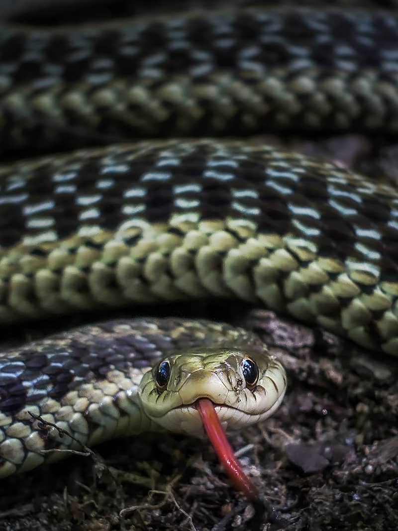 Photography project by Jerry Lofaro