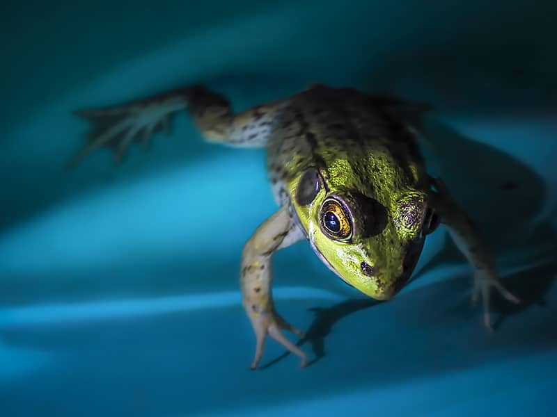 Photography project by Jerry Lofaro