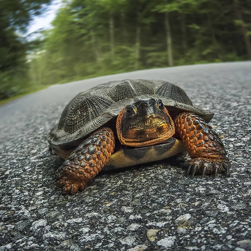 Photography project by Jerry Lofaro