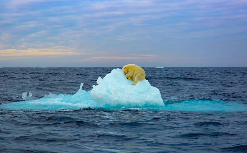 Photography project by Irene  Arniet/ZUMA Press