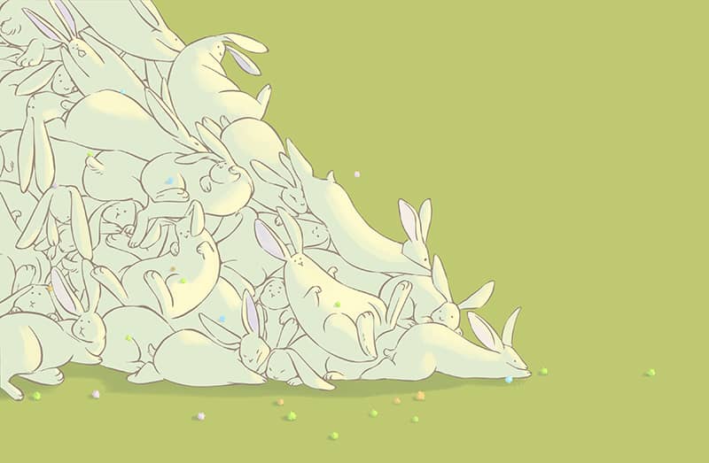 Illustration project by Sophia Chung 