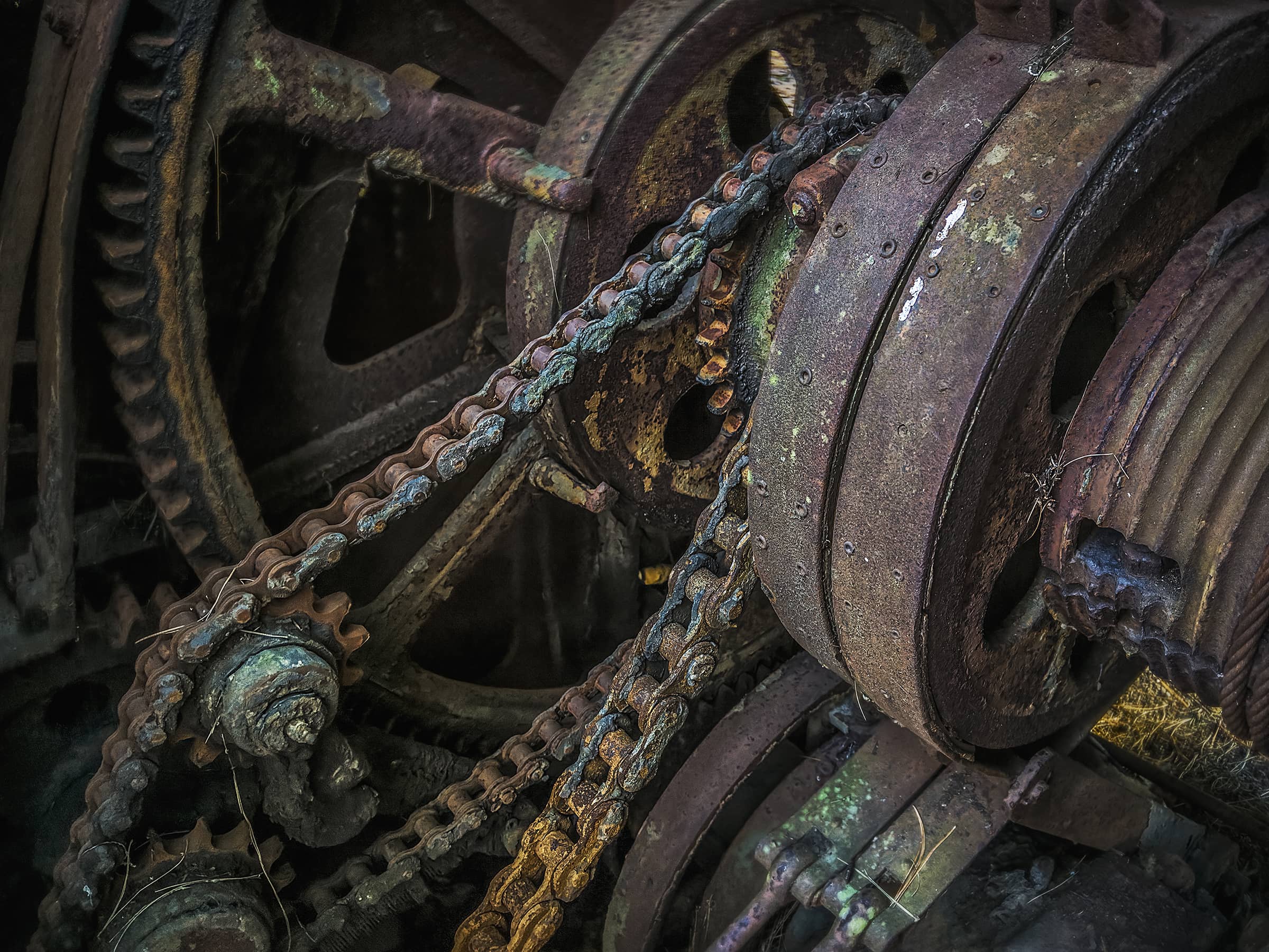 Photography project by Jerry Lofaro 