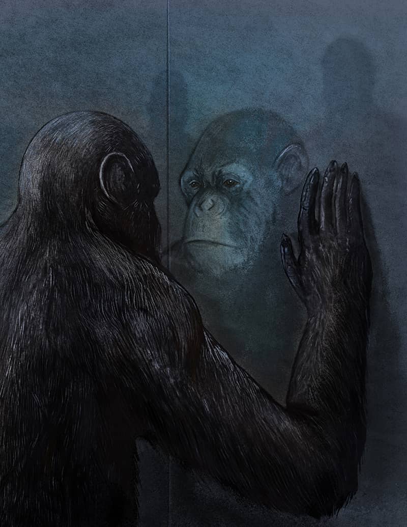 Illustration project by Christopher Cruz 