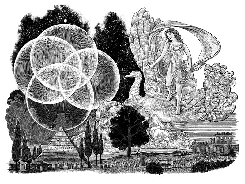 Illustration project by Rebecca Yanovskaya 