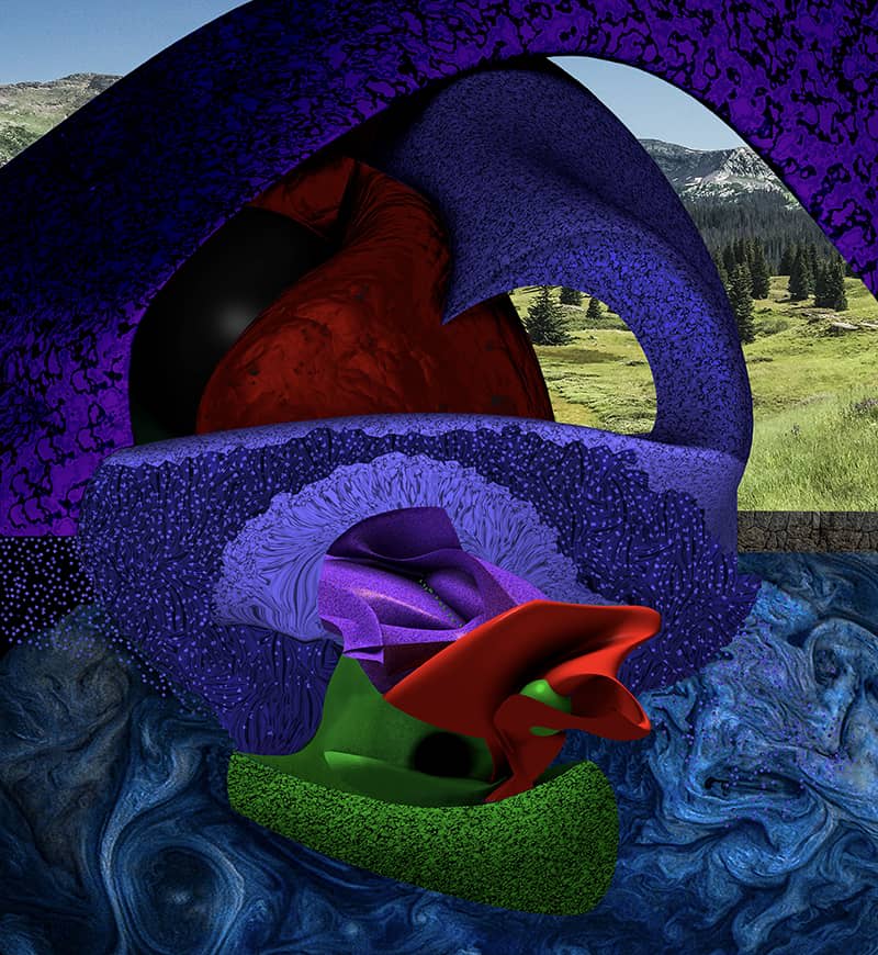 Fine Art project by Don Janis 