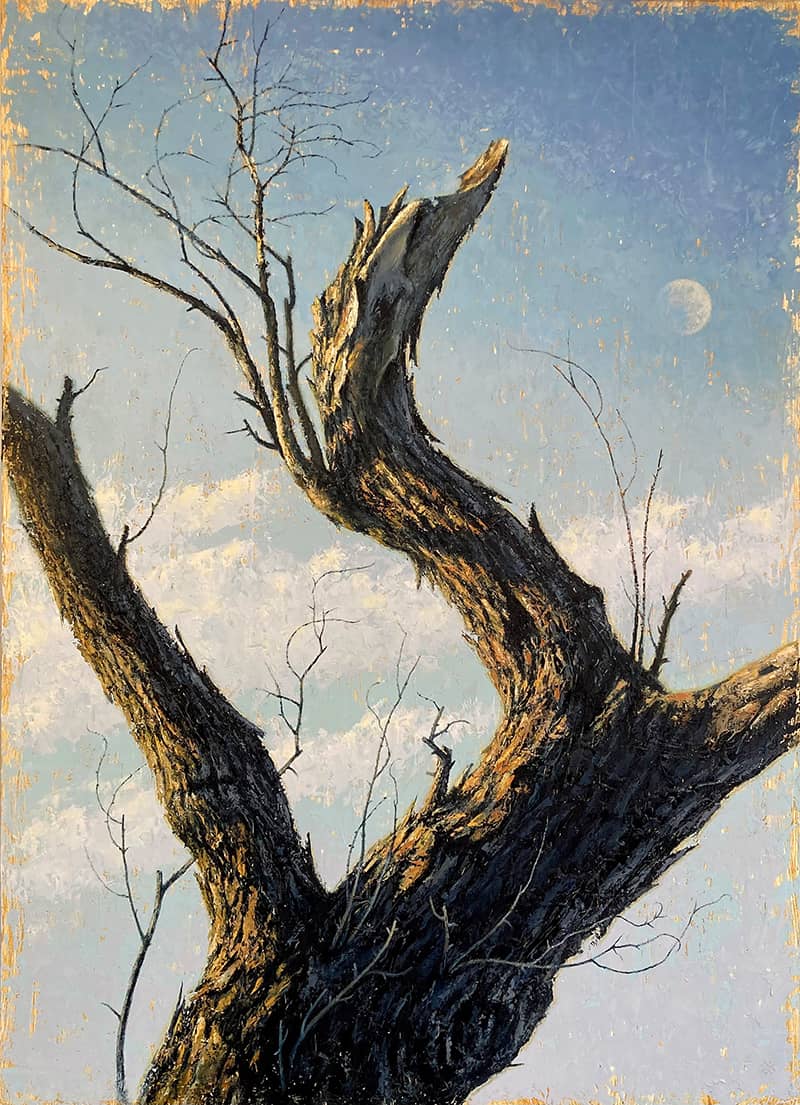 Fine Art project by R.D. (Dick) Mitchell