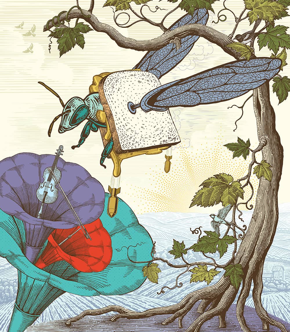 Illustration project by Christina Ullman