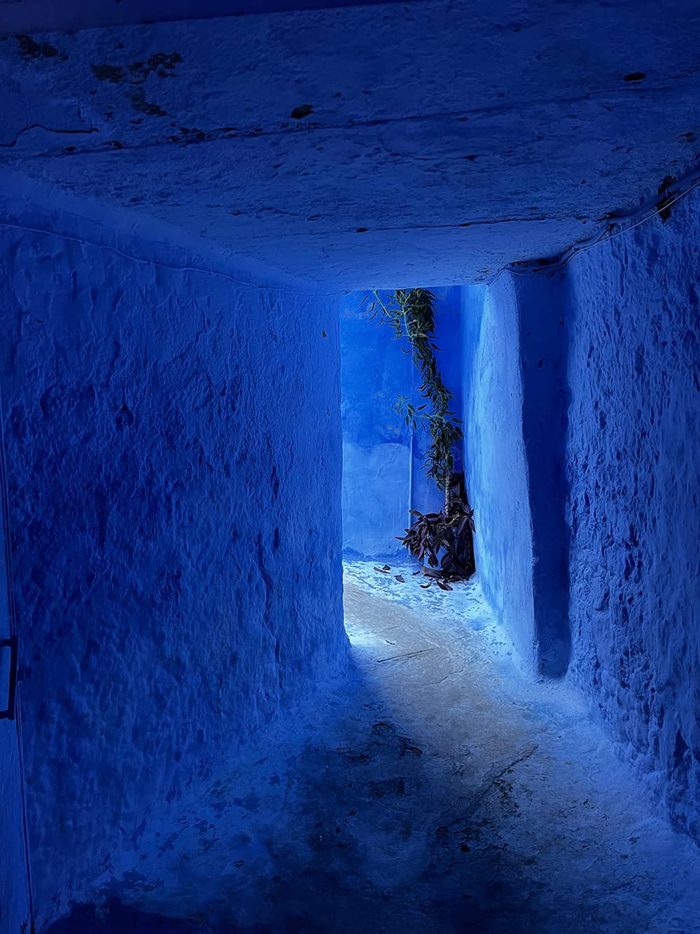 Photography project by Karin Whittemore