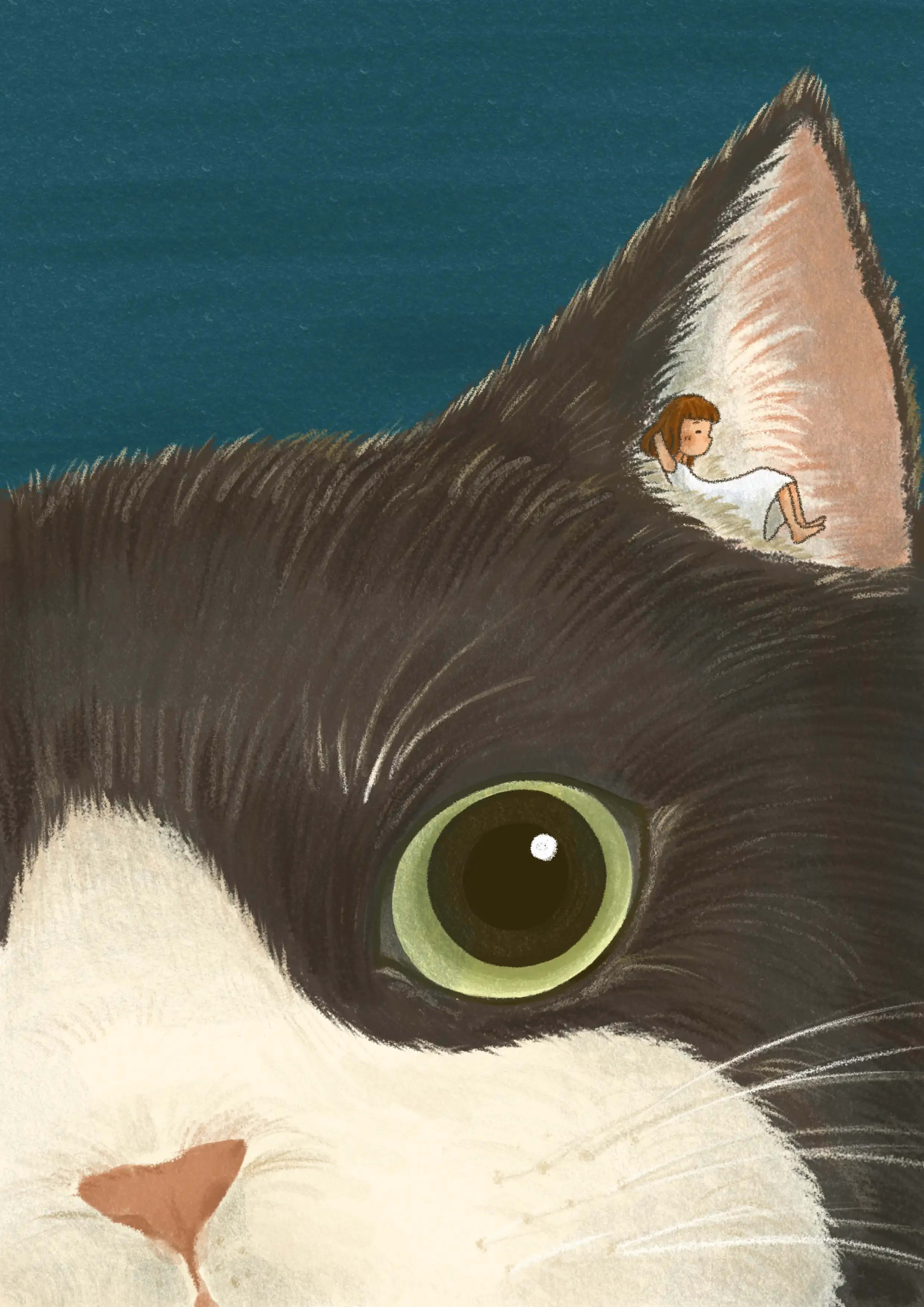 Illustration project by Yung-Hsien Lee