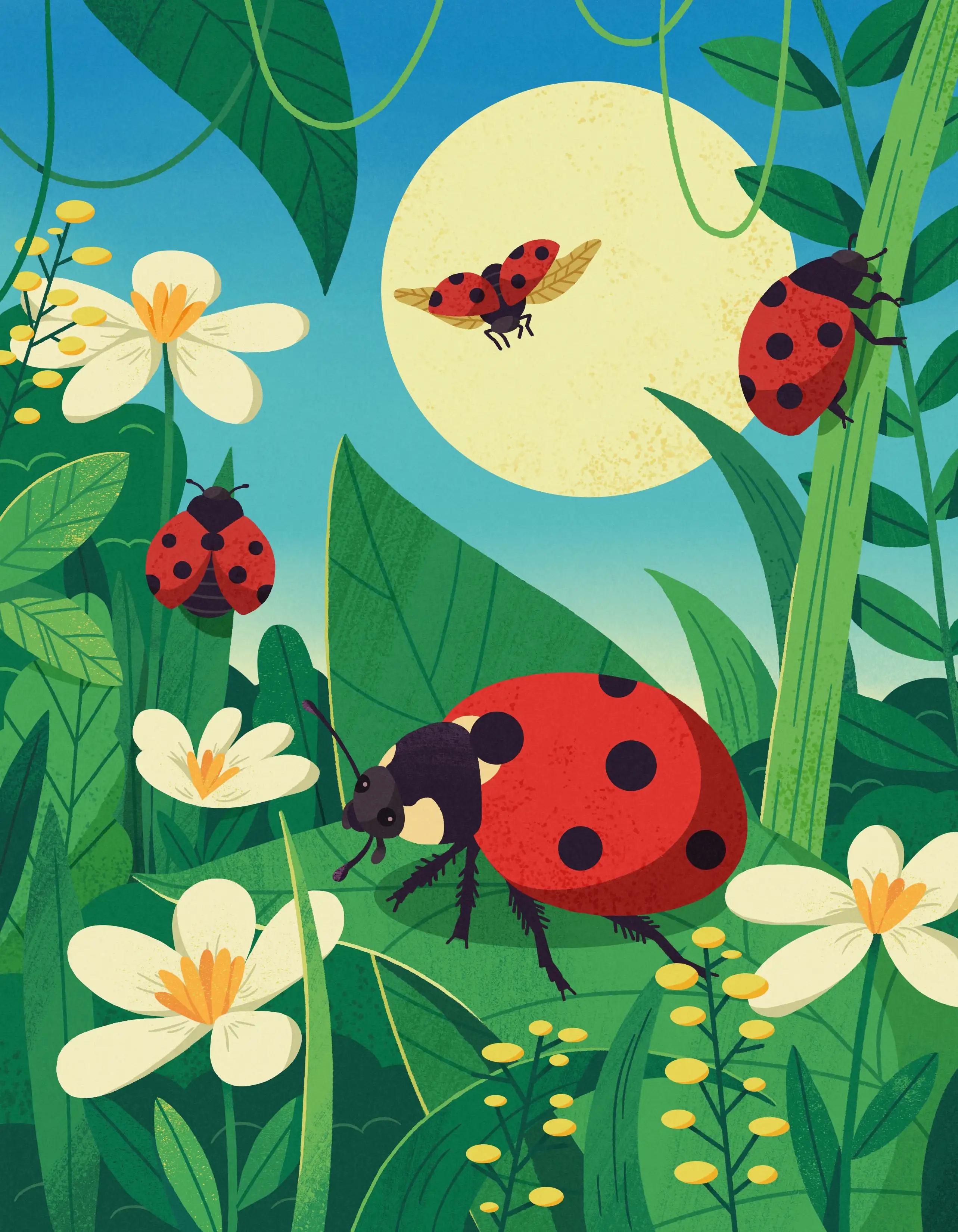 Illustration project by Jieyu Deng